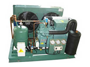 蒸發(fā)冷螺桿低溫速凍型機(jī)組